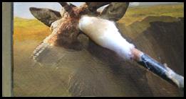 Haggis