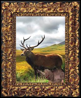 Haggis
